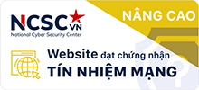 website dat tin nhiem mang